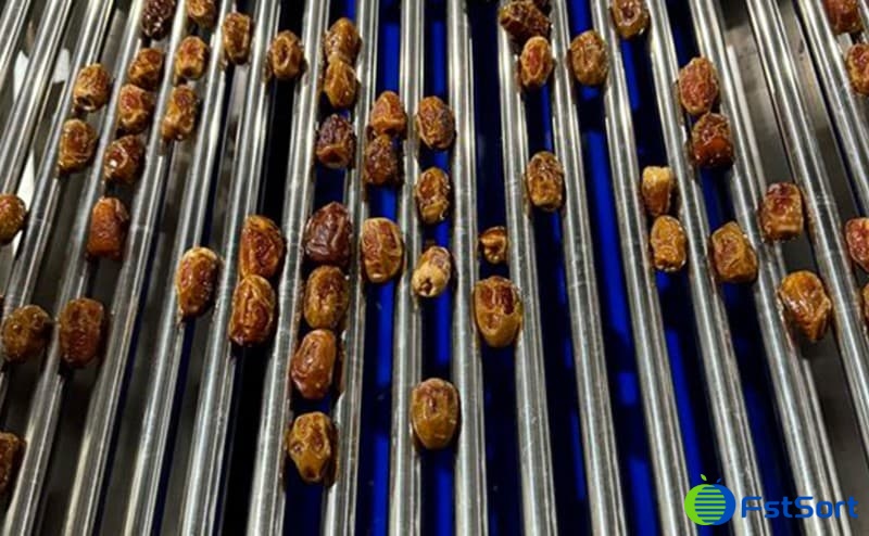 date sorting machine.jpg date sorting machine.jpg